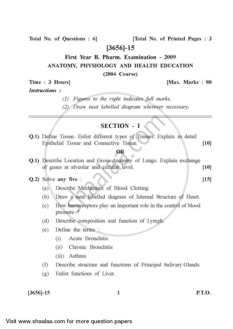Mbbs anatomy question papers with answers pdf free